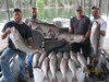 (06/18/2017) - Nice Striped Bass